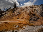 Mammoth Hot Springs - Yellowstone National Park